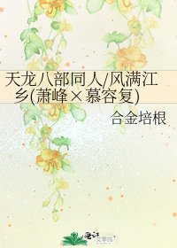 天龙八部同人/风满江乡(萧峰×慕容复)