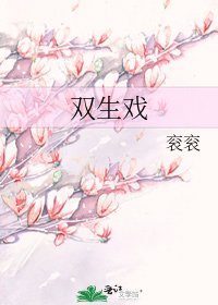 《双生戏》