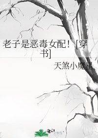 （穿书）老子是恶毒女配！