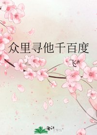 《众里寻他千百度》