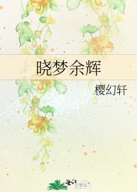 《晓梦余辉》