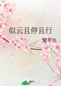 《似云且停且行》