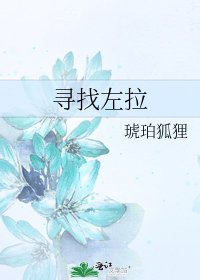 《寻找左拉》