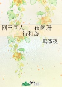 《网王同人——夜阑珊 待和旋》