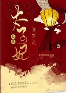 《清穿之猫性太子妃》