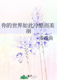 《你的世界如此冷酷而美丽》