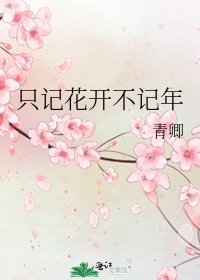 《只记花开不记年》