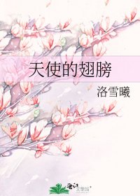 《天使的翅膀》