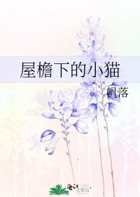 《屋檐下的小猫》