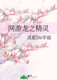 网游龙之精灵