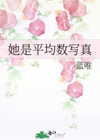 《她是平均数写真》