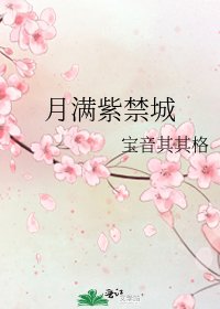 《月满紫禁城》