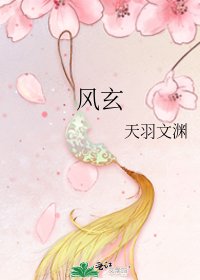 《风玄》