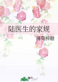《陆医生的家规》