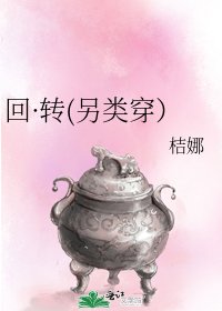 《回·转(另类穿)》