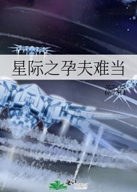 星际之孕夫难当
