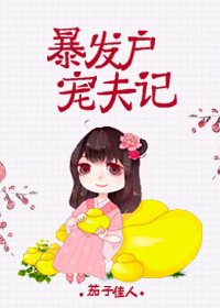 暴发户宠夫记