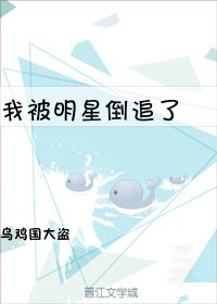 我被明星倒追了