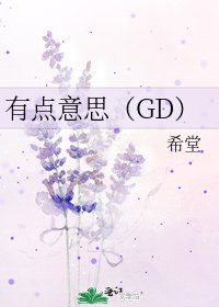 有点意思（GD）