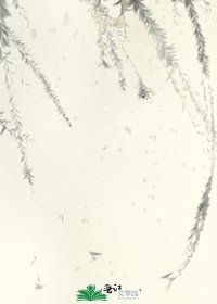《霹雳之迷航慈灯》