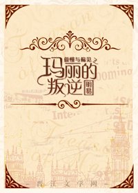《傲慢与偏见之玛丽的叛逆》