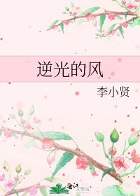 《逆光的风》