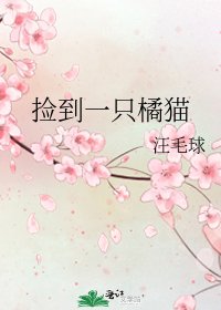 《捡到一只橘猫》