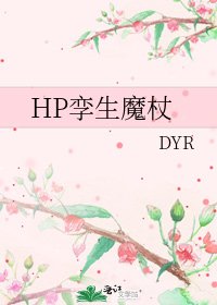 HP孪生魔杖