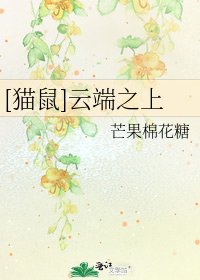 [猫鼠]云端之上