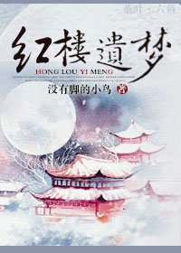 《红楼遗梦》