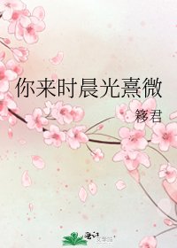 《你来时晨光熹微》
