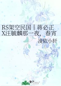 《RS架空民国‖蒋必正X汪毓麟那一夜,春宵意外》