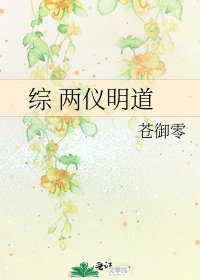 综 两仪明道