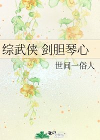 《综武侠 剑胆琴心》