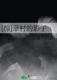 [综]幸村的影子