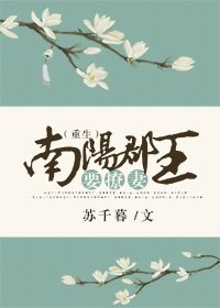 南阳郡王要撩妻（重生）