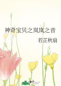《神奇宝贝之岚岚之音》