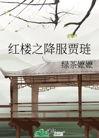 红楼之降服贾琏