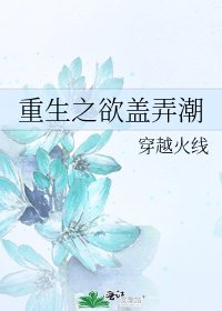 重生之欲盖弄潮