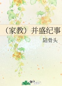 （家教）并盛纪事
