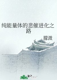 《纯能量体的悲催进化之路》