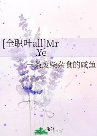 [全职叶all]Mr.Ye