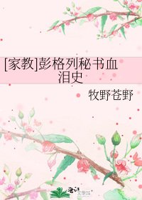 [家教]彭格列秘书血泪史