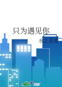 只为遇见你