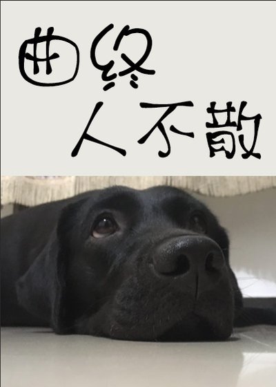 曲终人不散