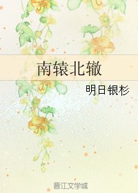 南辕北辙