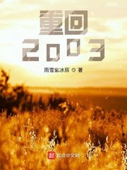 《重回2003》