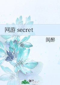 《网游 secret》