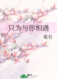 《只为与你相遇》