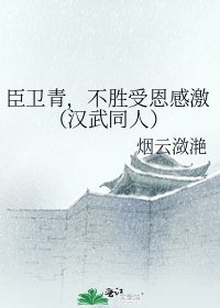 臣卫青，不胜受恩感激（汉武同人）